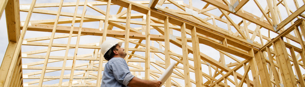 Building & Property Inspections